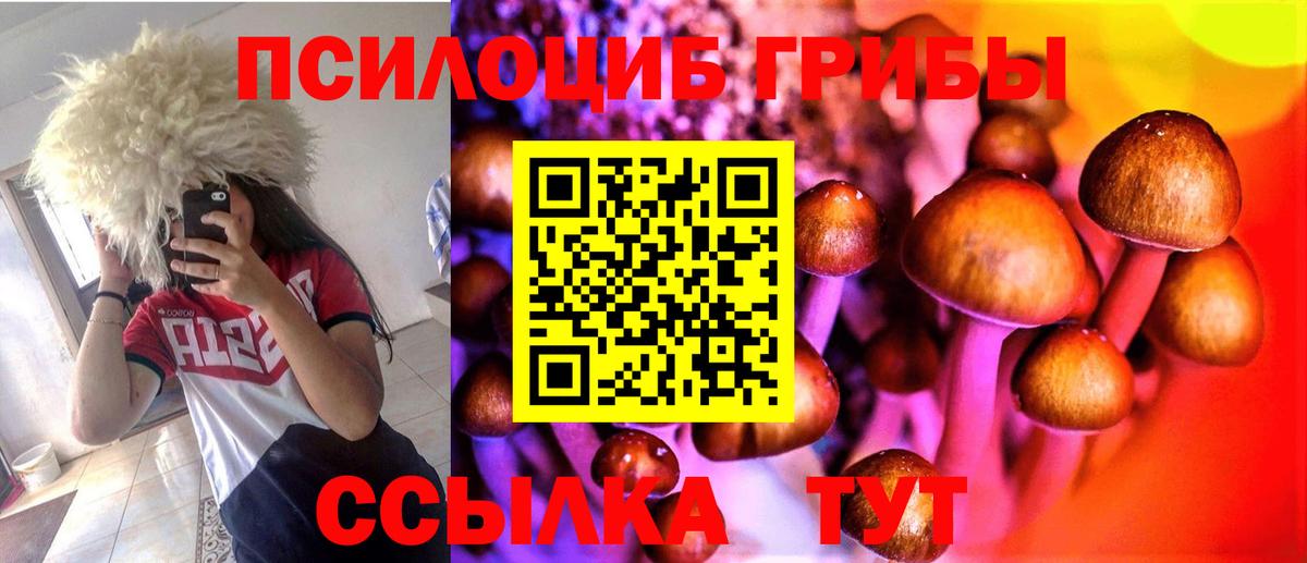 Псилоцибиновые грибы GOLDEN TEACHER Вышний Волочёк